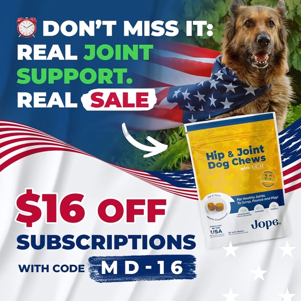 A square-format static ad for Hip & Joint Dog Chews using a patriotic theme to highlight a $16 off subscription sale for pet owners.